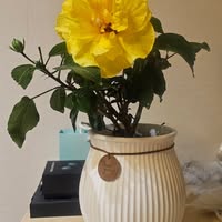 Enkhbaatar Bayasgalan