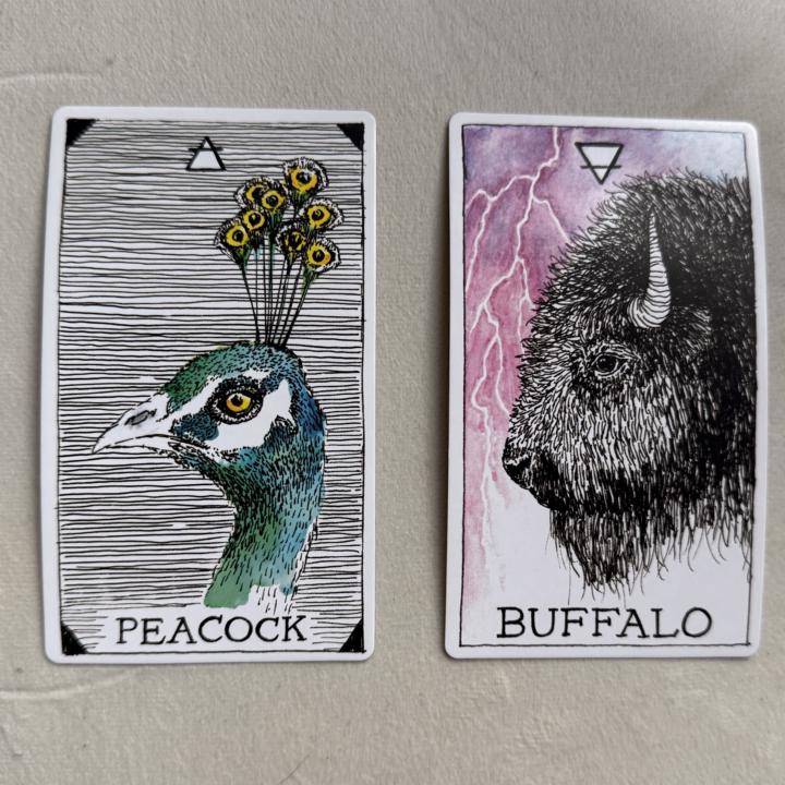 Buffalo & Peacock - your thoughts please