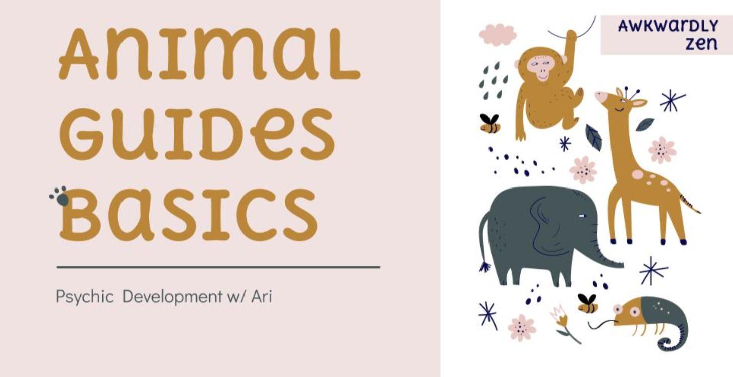 Animal Guides Basics