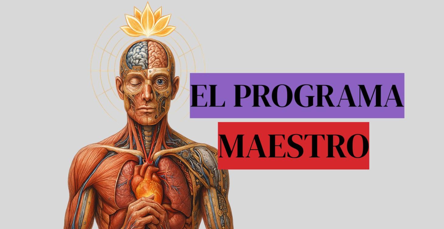 Programa Maestro