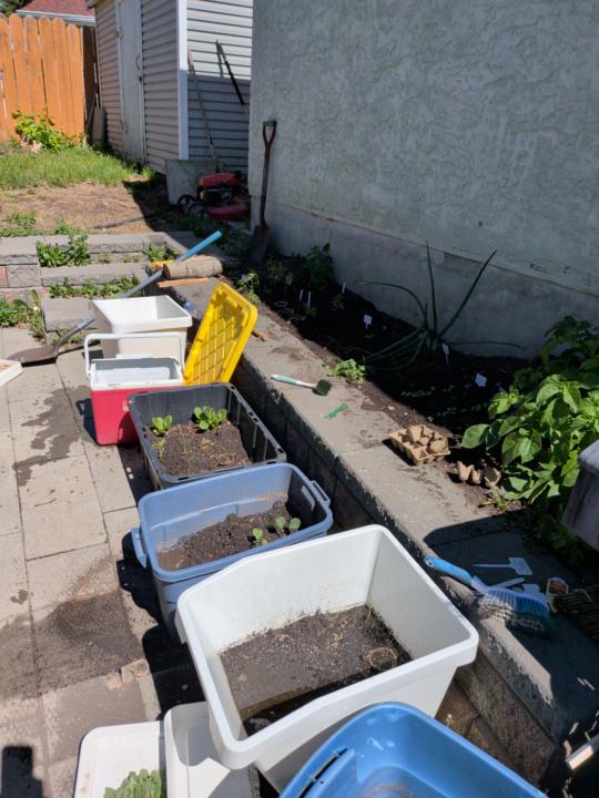 A garden of your own 