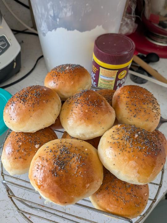 Ask me about my buns 