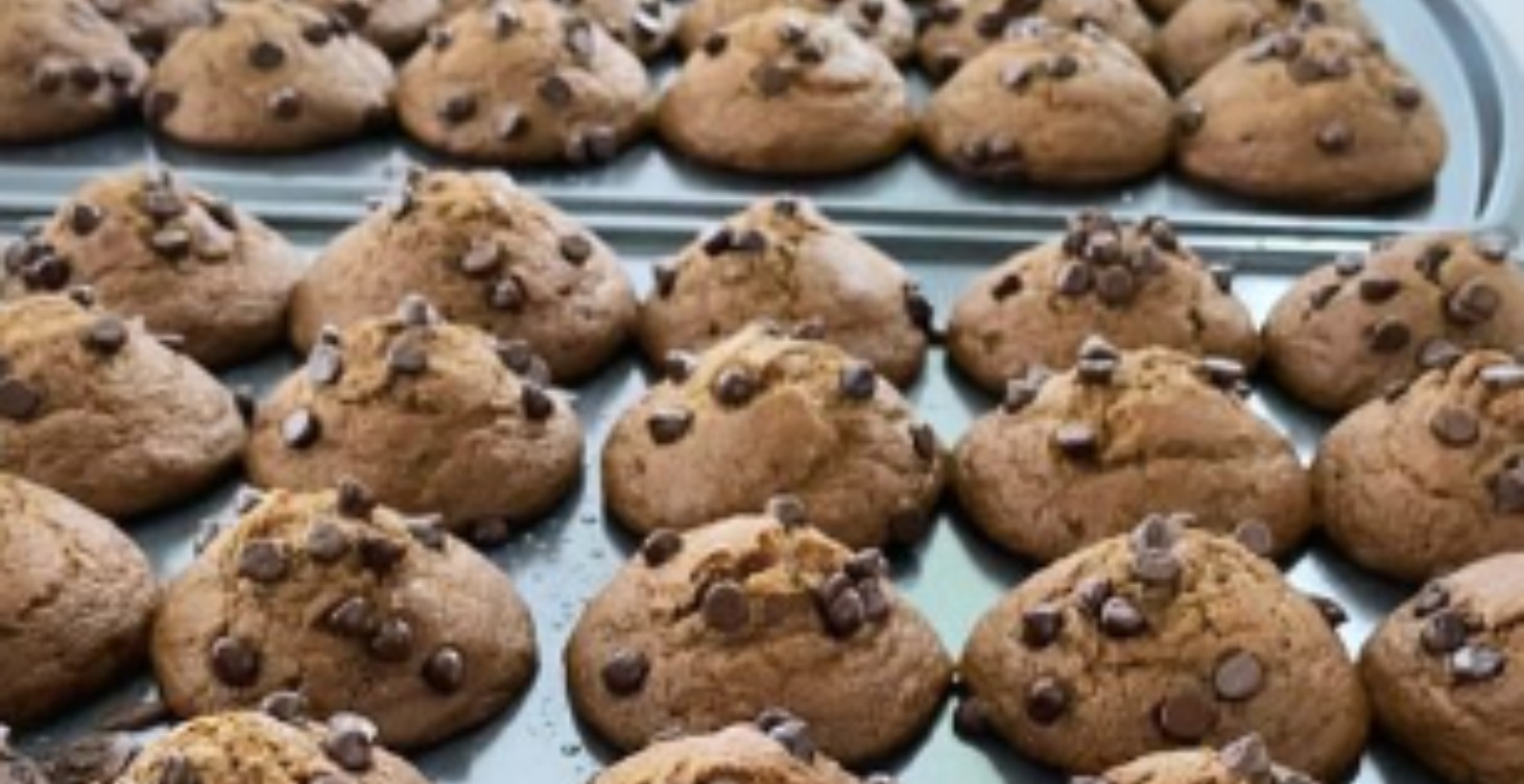 Snack Attack Unleashed