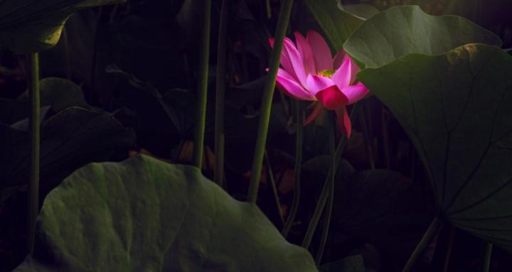 Purpose In The Darkness