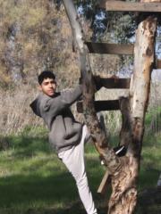 Elior Meir