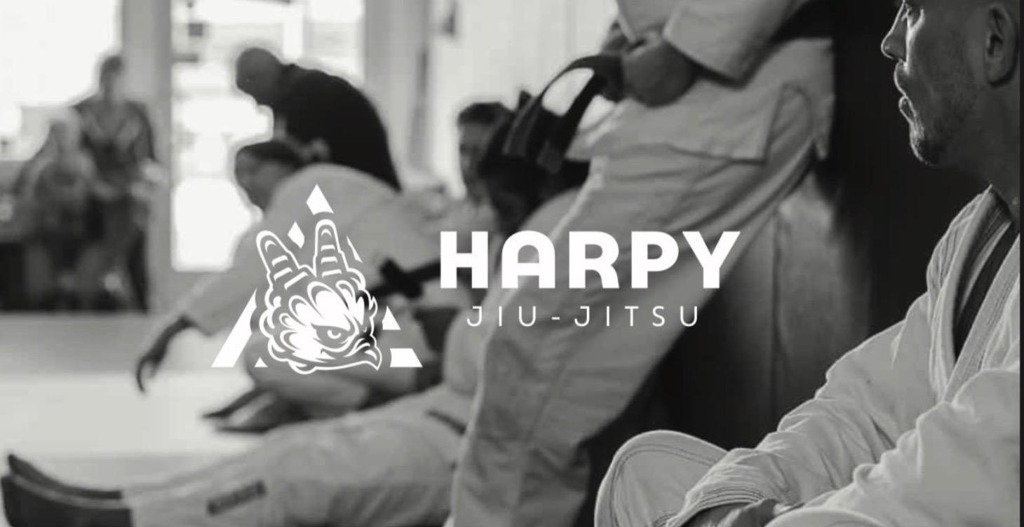 Adult Jiu-Jistsu classes