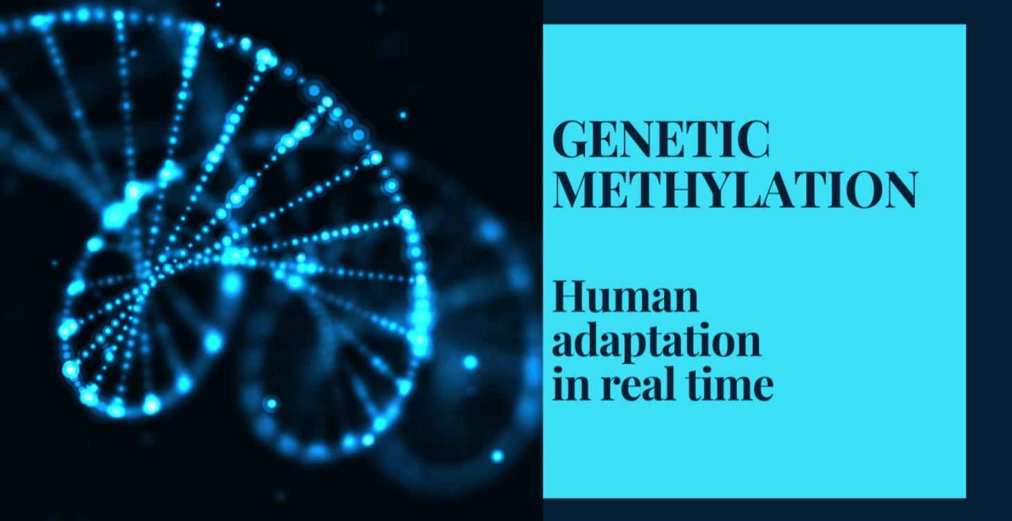 Methylation - What codes are running the show