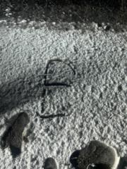 Eren Can
