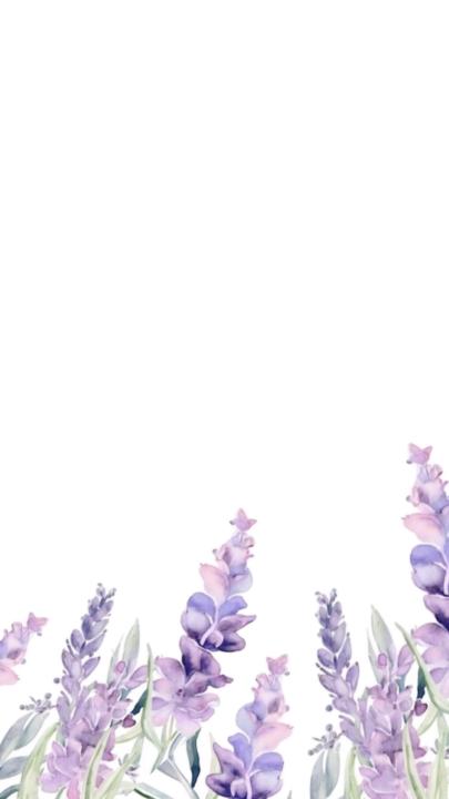 احلام الحضريتي