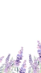 احلام الحضريتي