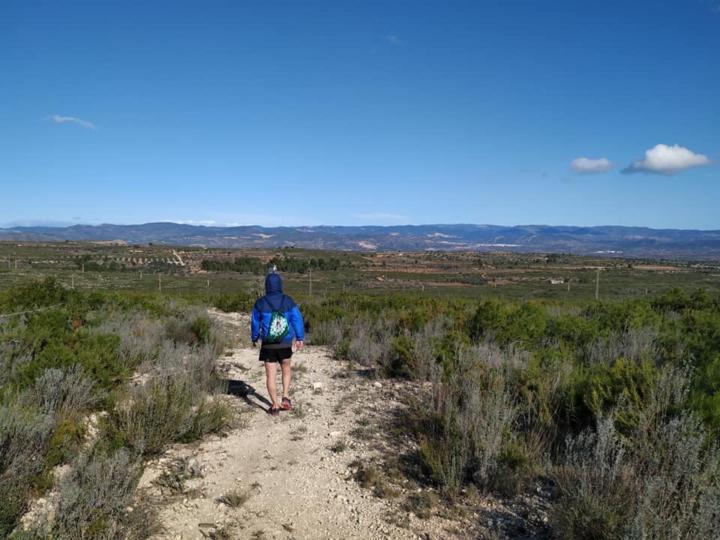 Angel Sánchez Minguez