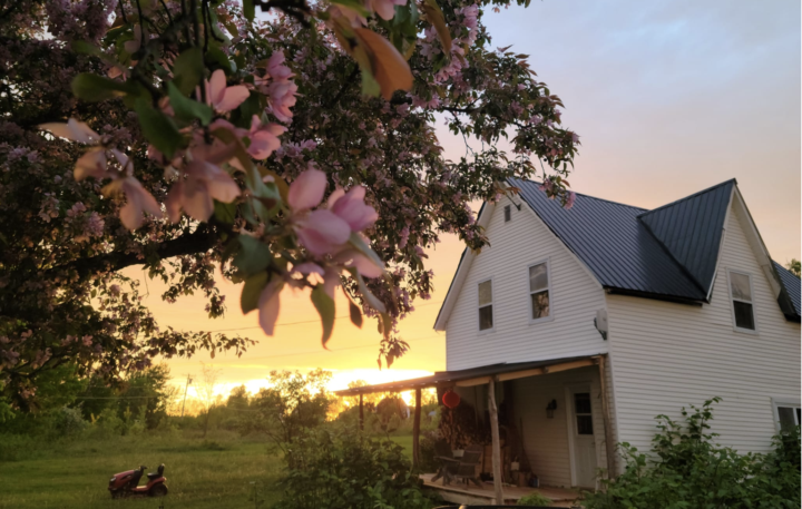 Here we are. This is the beginning of a journey together. 