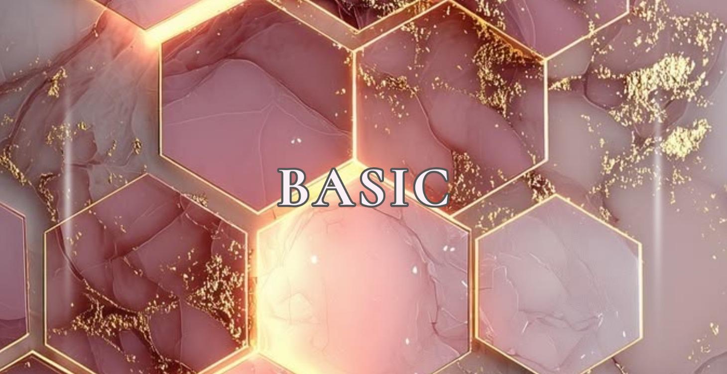 🥉 BASIC SYSTEM