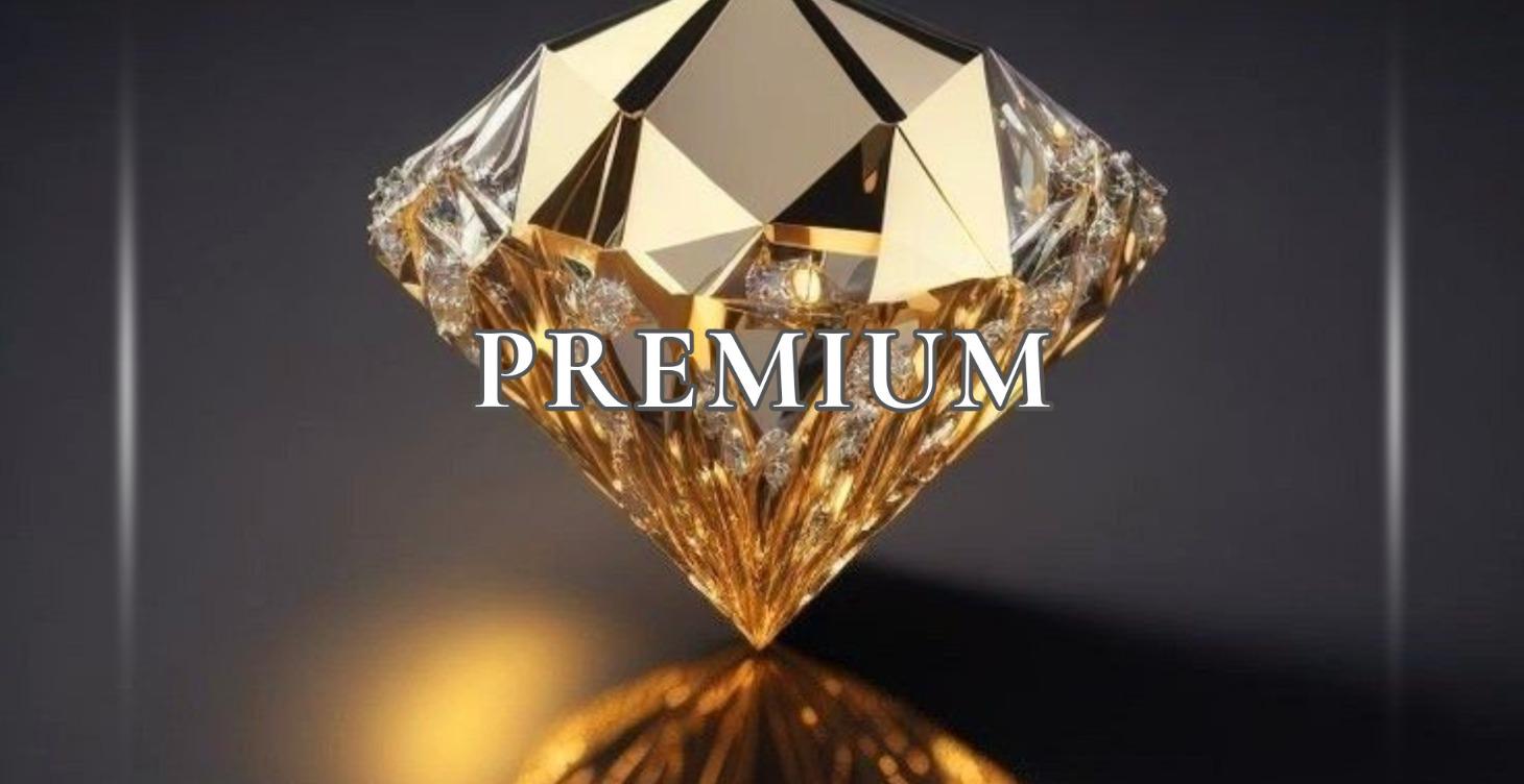 🥇 PREMIUM SYSTEM
