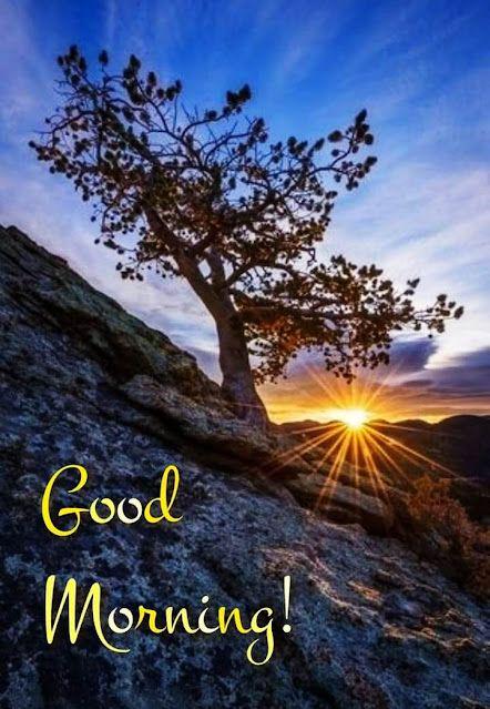 Hello 🤗👋 progress Monday 😁😃