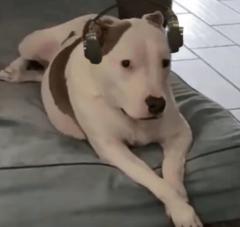 Germain Soto Soto Contreras