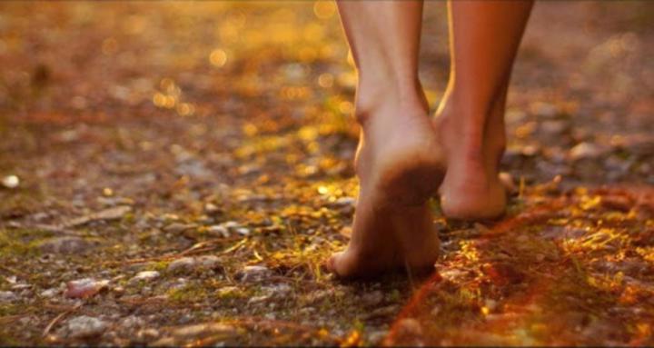 Feminine Wisdom Circle