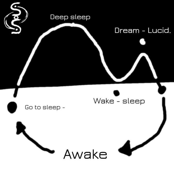 Dreamer frog