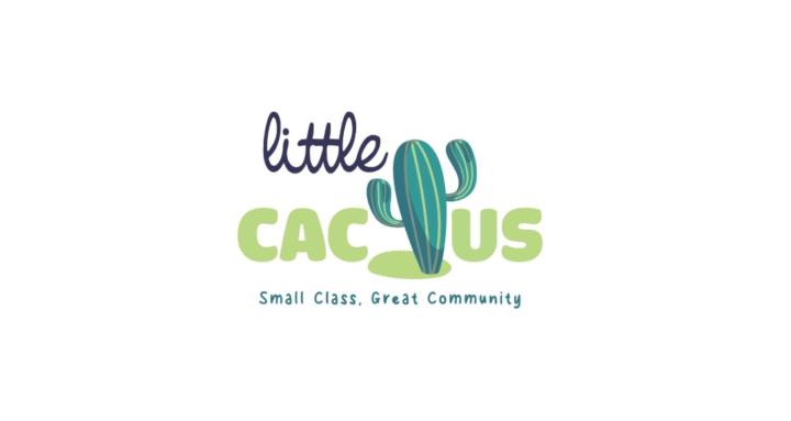 Little Cactus