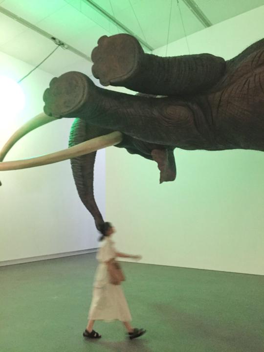 Sherry Lai