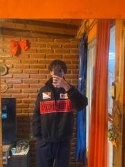 Ivo Talkss