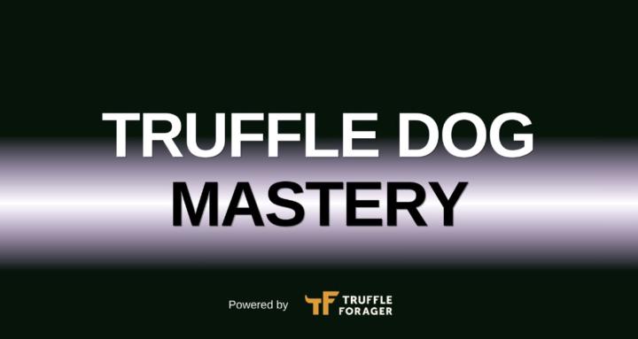 Truffle Dog Mastery