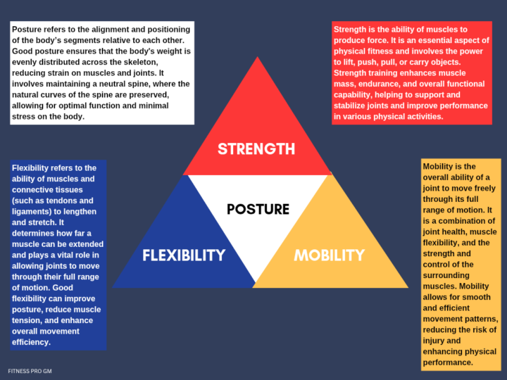 How Posture, Mobility, Flexibility, and Strength Work Together