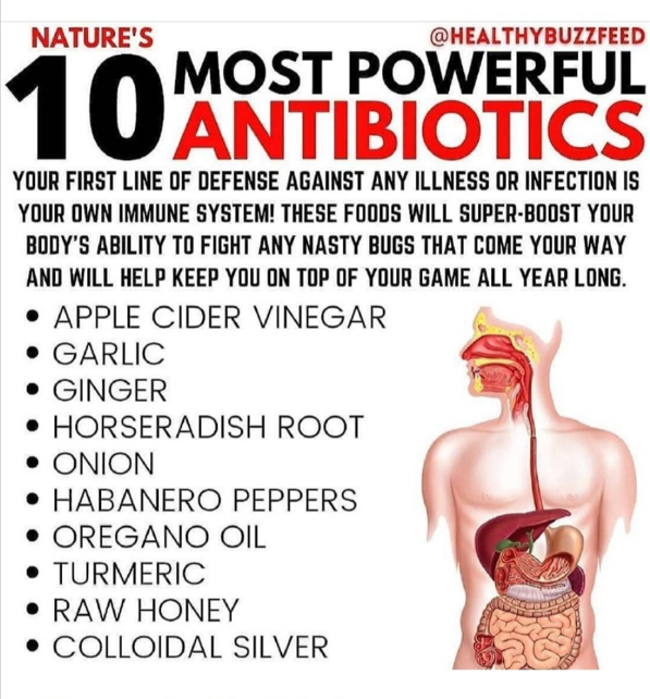 10 Most Powerful Antibiotics