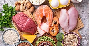 The Importance of PROTEIN