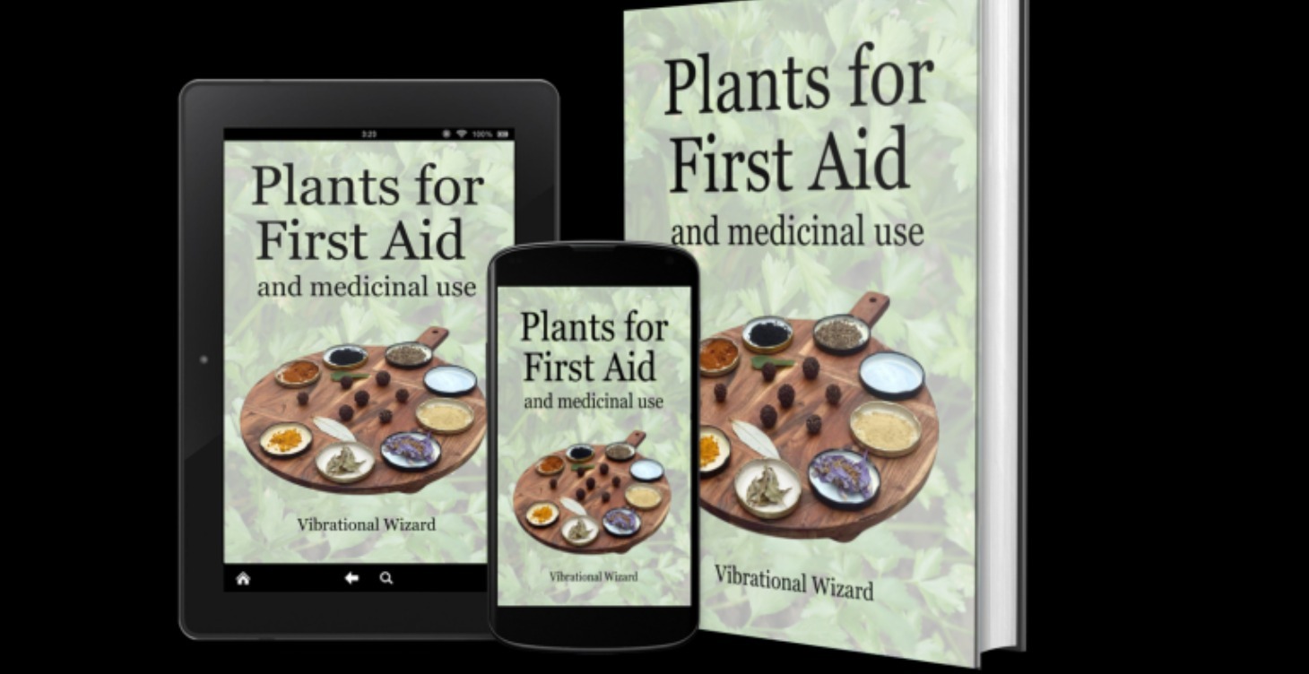 Robbie Thompson - Frequency - Foraging - Freedom