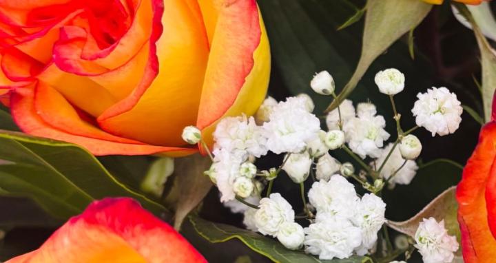 Setting Healthy Boundaries