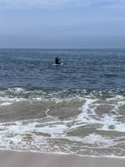 Gustavo Vargas Zavala