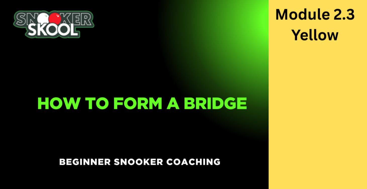 Module 2.3 - Your Bridge Hand
