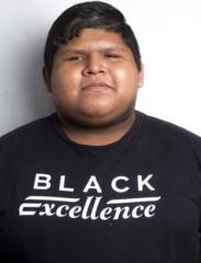 Diego Jhonatan Torres Laynes