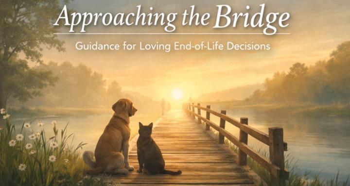 Approaching the Bridge