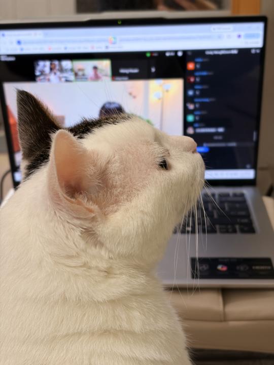 Cindy 的遠端瑜珈課，下課！