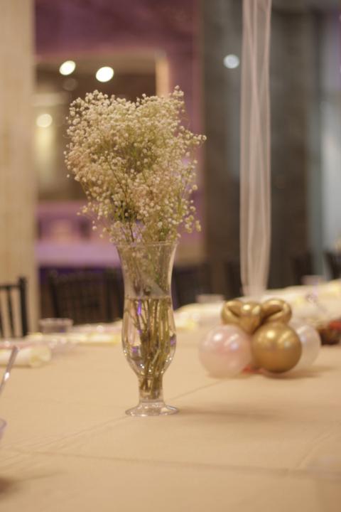 מ ש ח י גרין