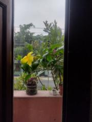 Marcia Lili Pesantes