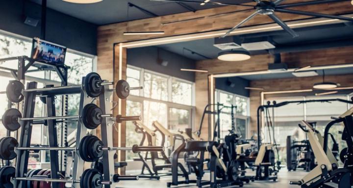 Alex Muscle Coaching