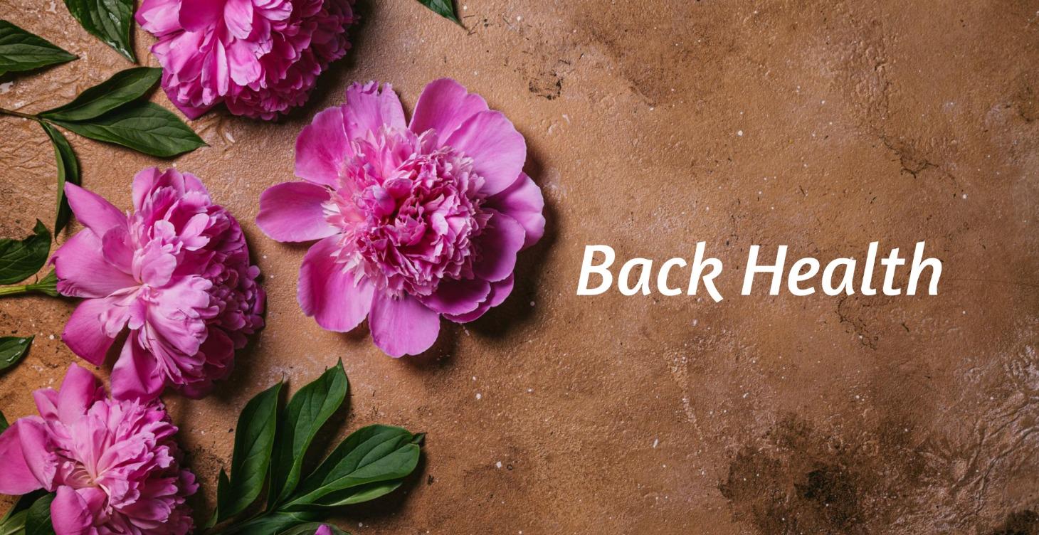 Back Health
