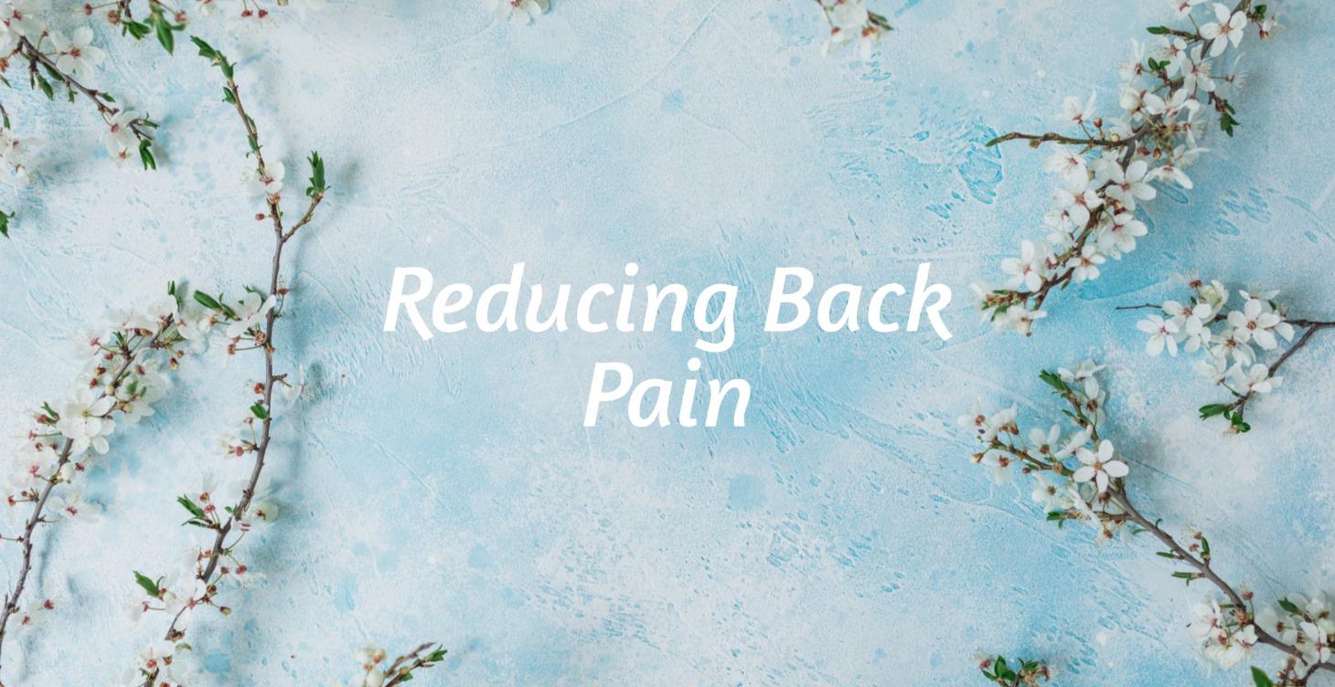 Flow: Reducing Back Pain
