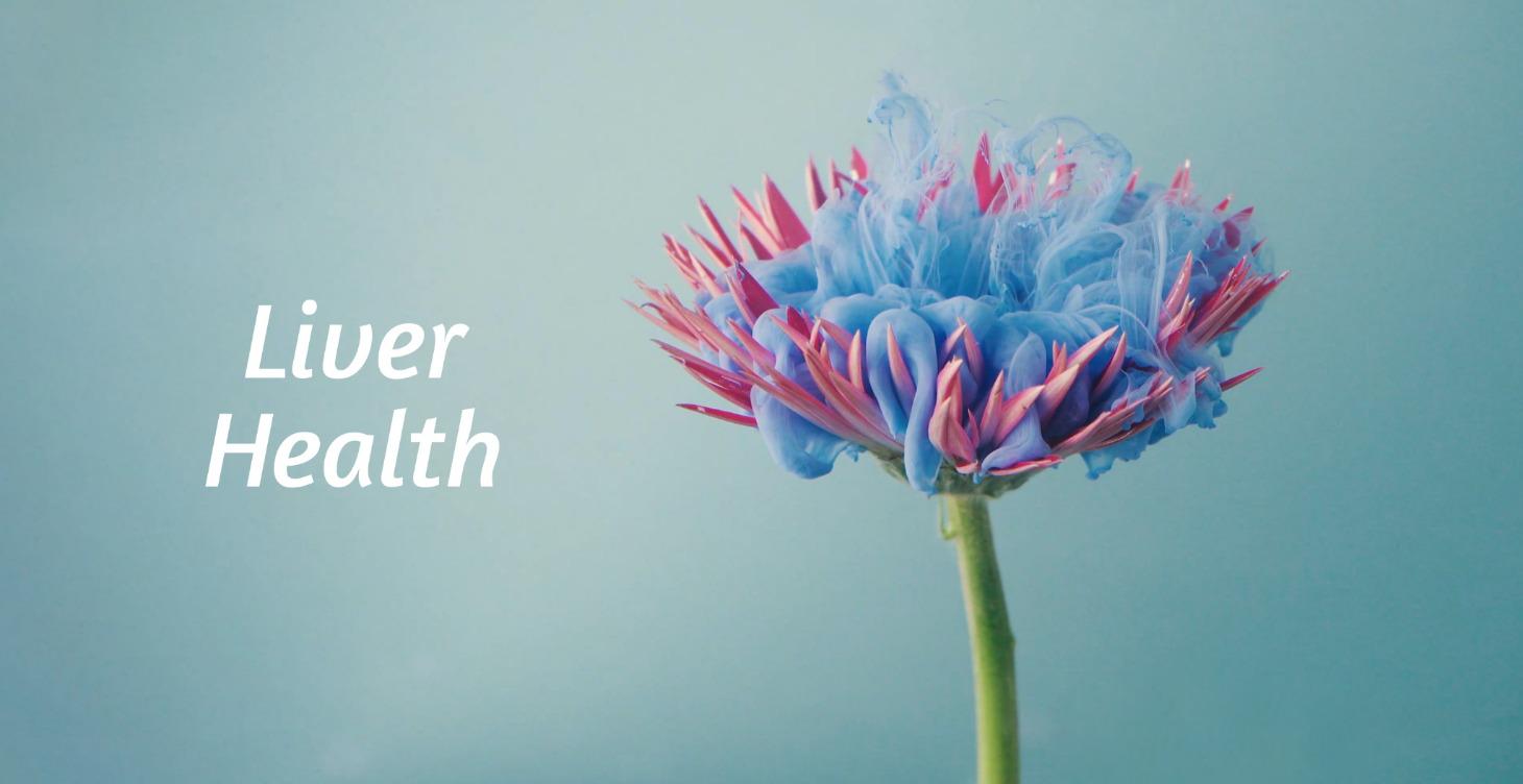 Liver Health