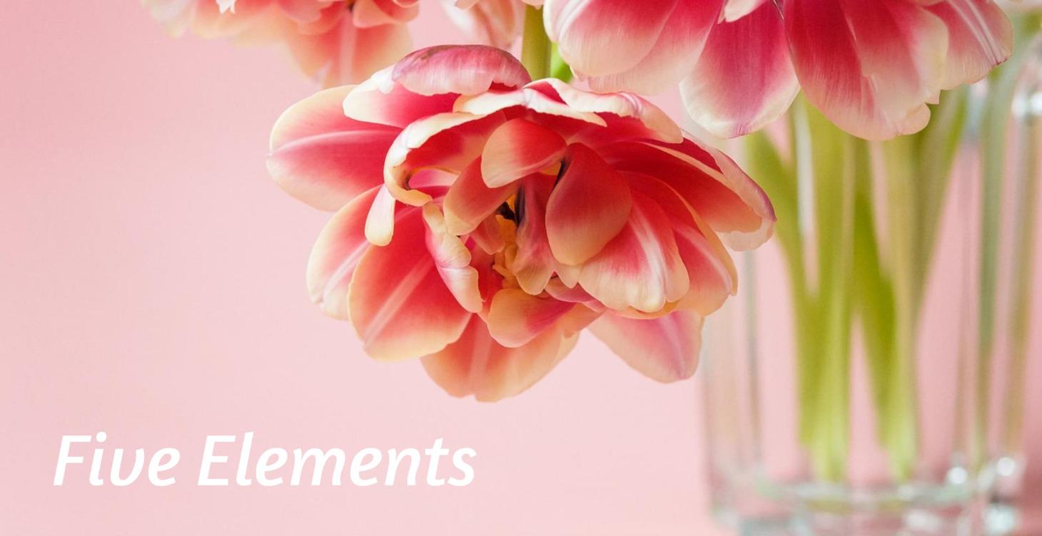 Flow: The Five Elements