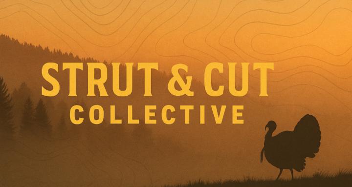 Strut & Cut Collective