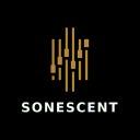 Sonescent Academy icon