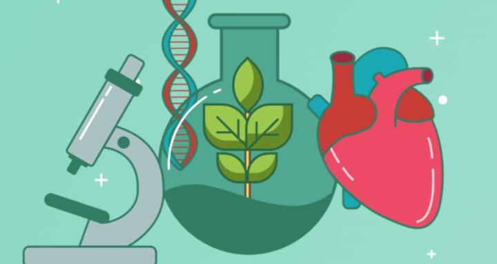 Leaving Cert Biology Skool