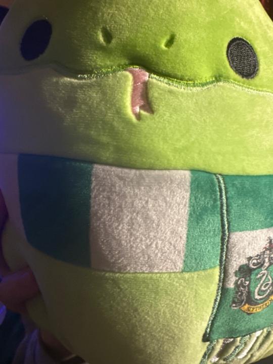 Georgie Fisher- Jones