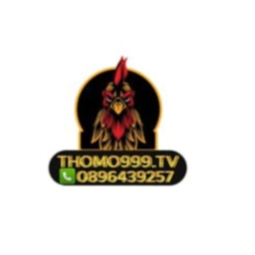 THOMO TV Trực Tiếp Đá Gà Thomo SV