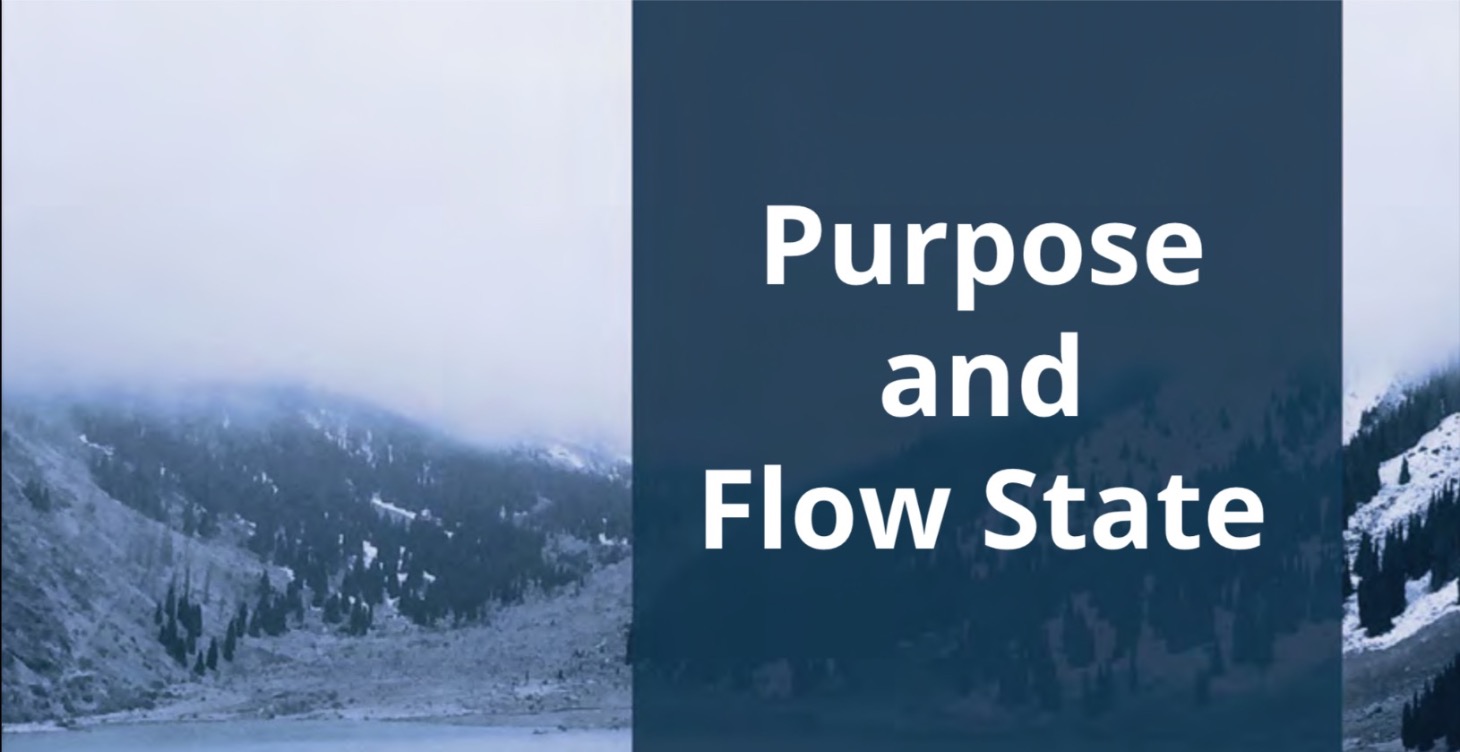 Purpose and Flow