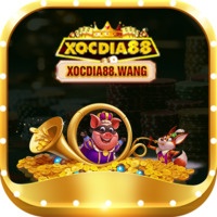 Xocdia Wang